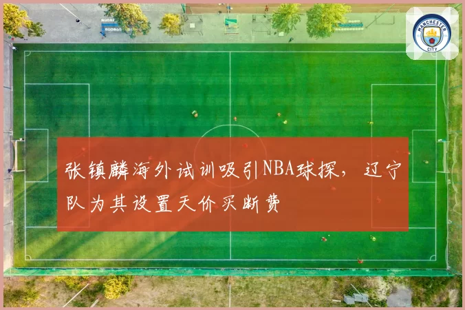 张镇麟海外试训吸引NBA球探,辽宁队为其设置天价买断费