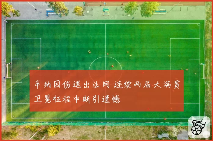 辛纳因伤退出法网 连续两届大满贯卫冕征程中断引遗憾